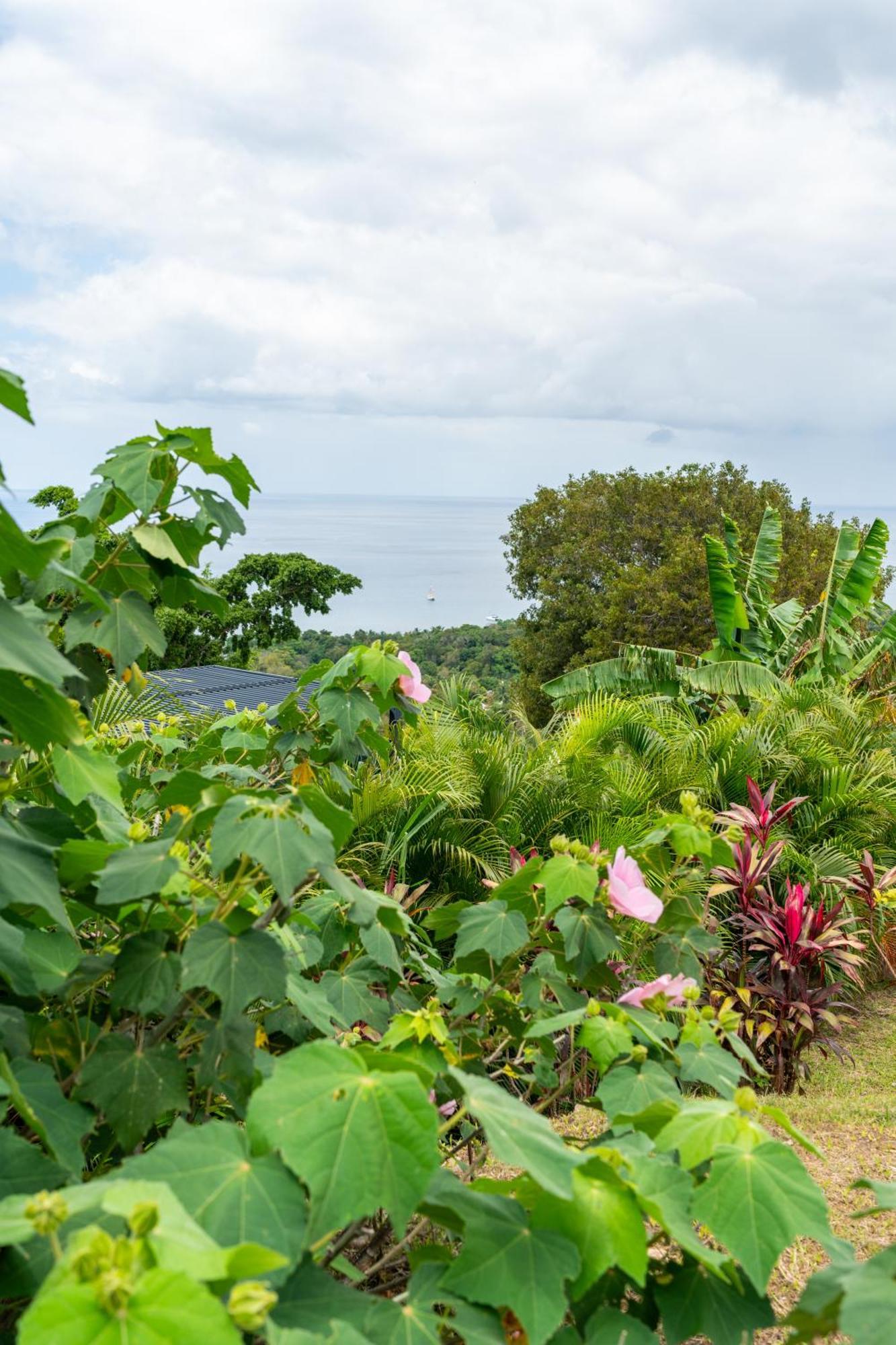 Calypso Bay Villa Bouillante Exterior photo