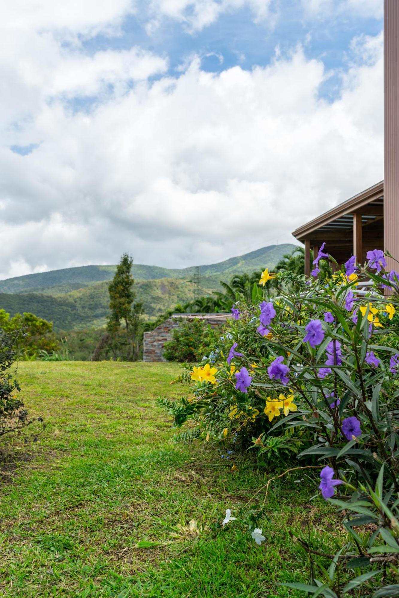 Calypso Bay Villa Bouillante Exterior photo